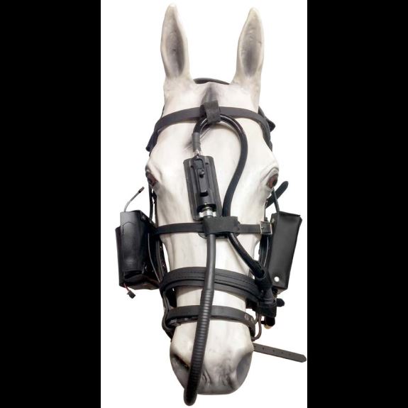 Tele-View Dynamic, Equine Endoscope